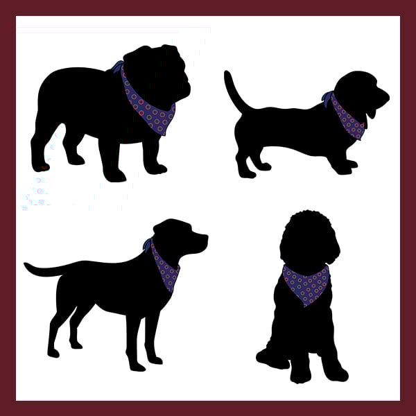 Image of Jammin' Dog Days