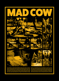 Image 1 of "MAD COW" INFORMATION POSTER