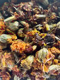 Image 9 of SOMMER | African Marigold Face Serum