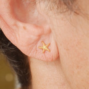 Image of Boucles Starfish