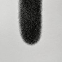 Image 3 of Kitty No.81 Original Artwork - RESERVED FOR BEN