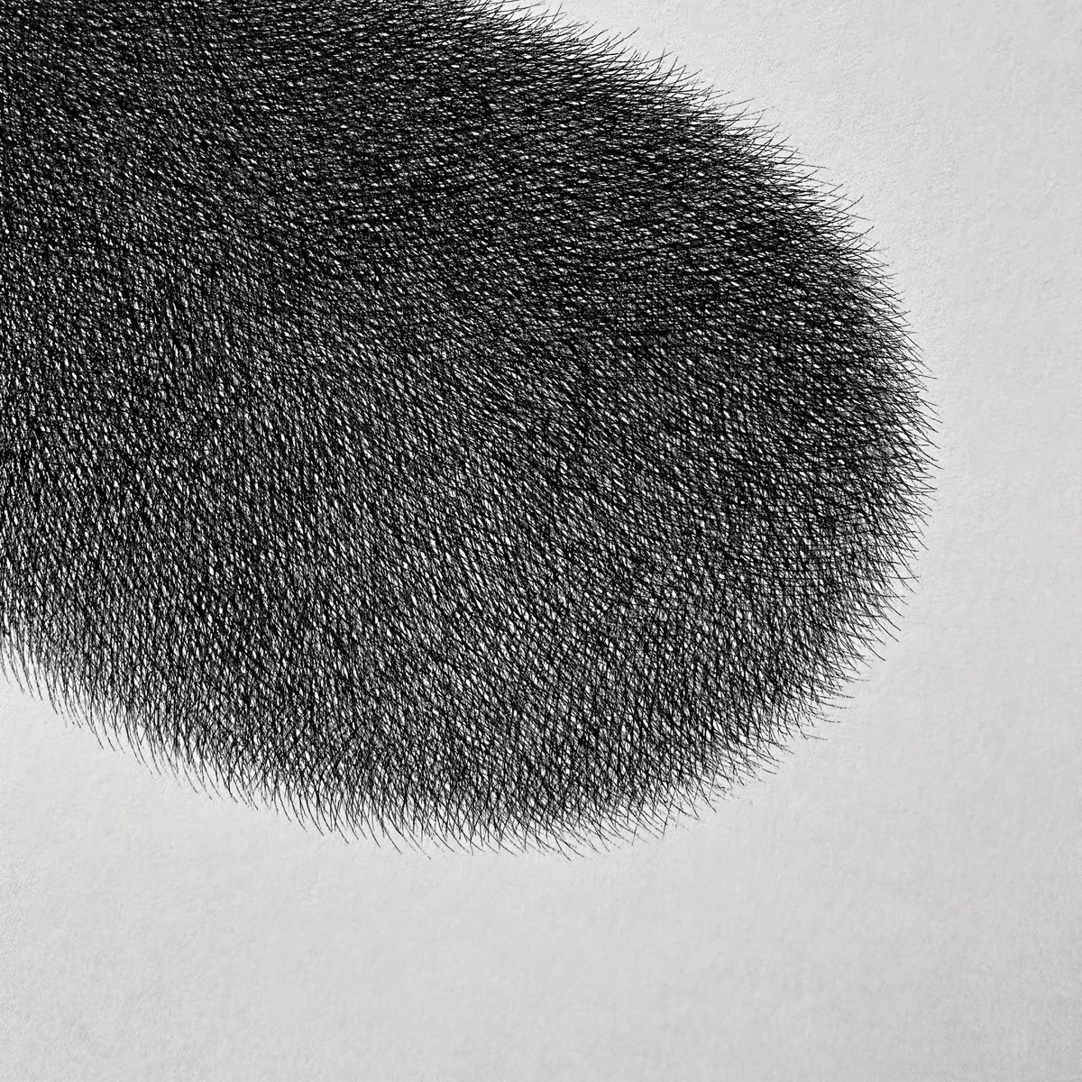 Image of Kitty No.63 Original Artwork