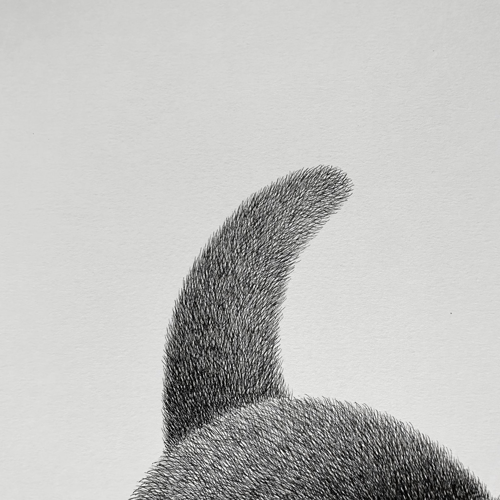 Kitty No.32 Original Artwork | kamweifong