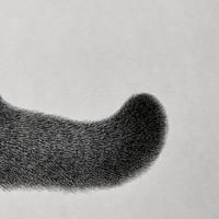 Image 3 of Kitty No.23 Original Artwork