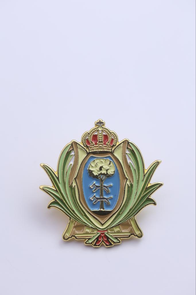 Pin on escudo