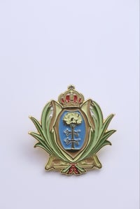 Image 1 of Durango Escudo Pin