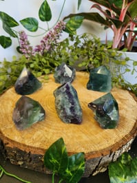 Image 1 of Raw / Polished Flourite Chunk