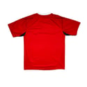 Toronto FC Training Shirt (M)