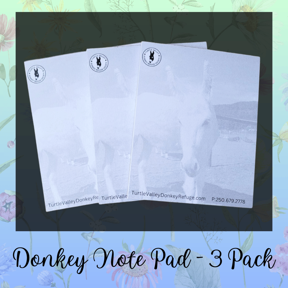 Image of Donkey Notes - 3 pack