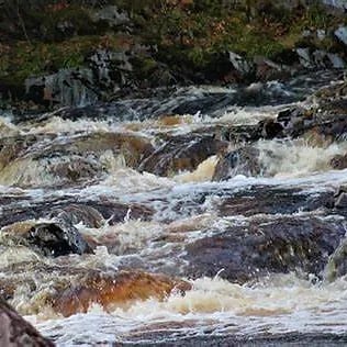 Image of AMBER WATERS