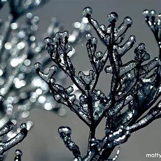 Image of BLACK ICE
