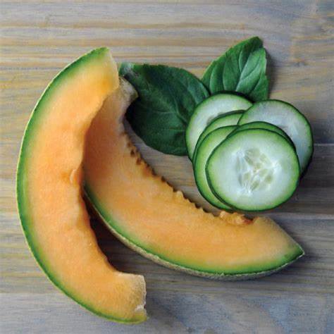 Image of CUCUMBER MELON