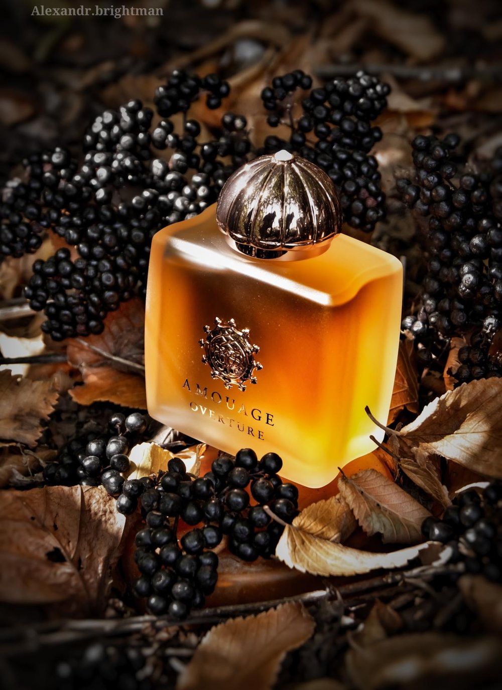 Image of AMOUAGE OVERTURE (TYPE)