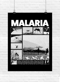 Image 2 of "MALARIA" INFORMATION POSTER