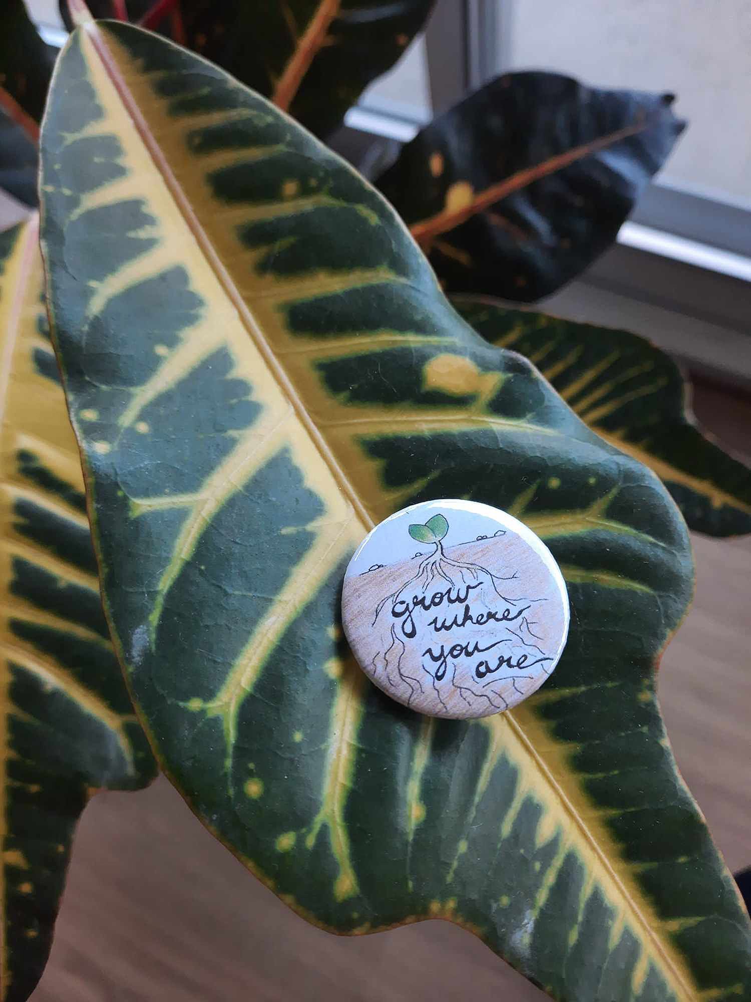 Image of Grow Where You Are Button