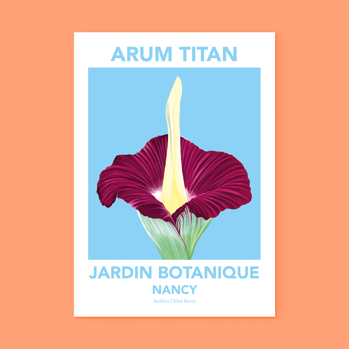 Affiche Arum Titan
