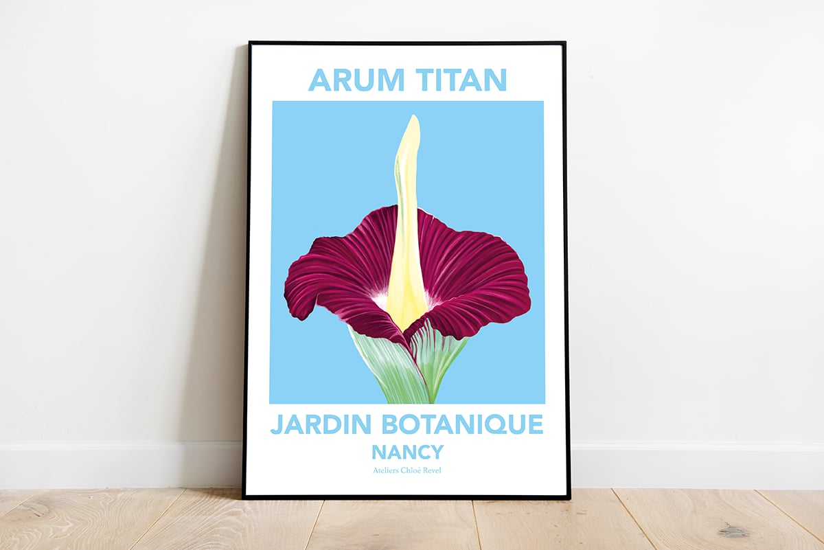Affiche Arum Titan