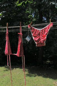 Image 1 of Berry Picking Bikini Set - XL 