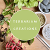 Terrarium Creations 25/02/24
