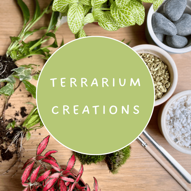 Terrarium Creations - Tropical terrarium workshop