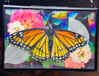 Image 1 of 6x4 Monarch Butterfly 