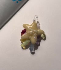 star seed