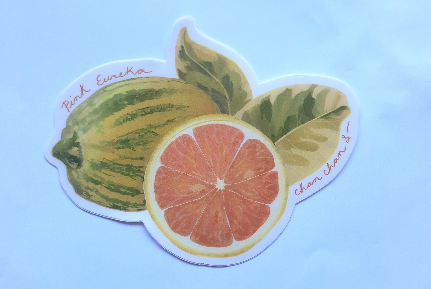 Image of Pink Eureka Lemon Sticker
