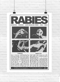 Image 2 of "RABIES" INFORMATION POSTER