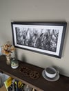 Entangled - Framed Papercut Artwork of Birds Roosting