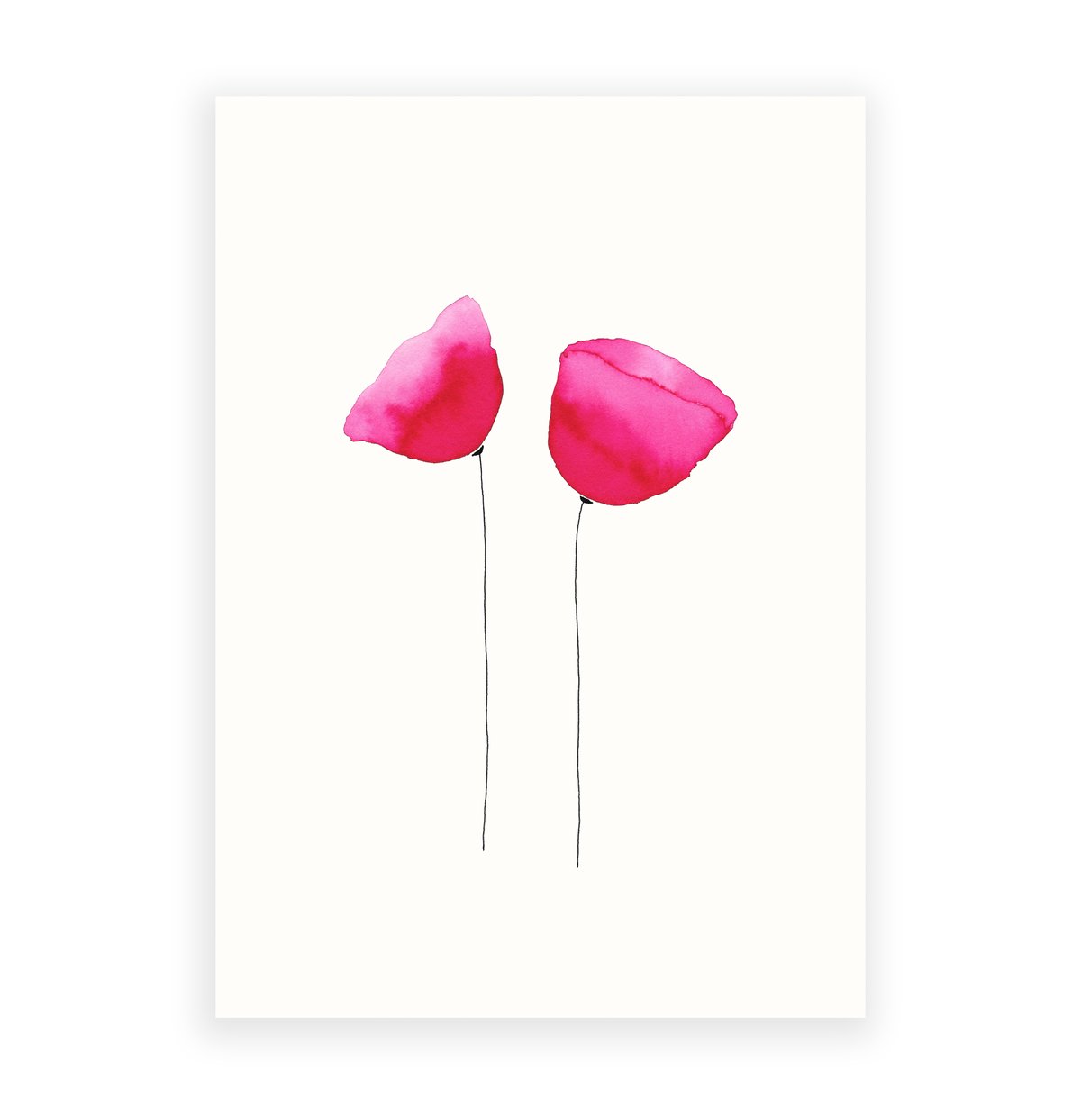 Image of Two poppies / Deux Coquelicots