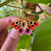 Moth Pin - Orange