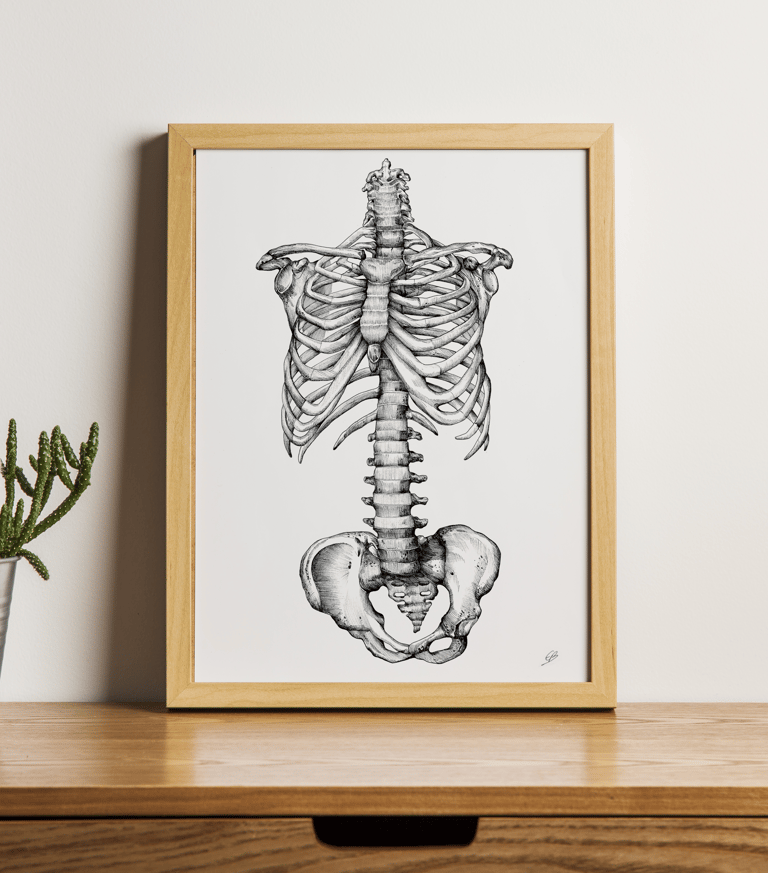 Illustration PRINT « Squelette » Format A4