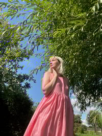 Image 3 of The Birthday Dress