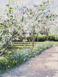 Image 1 of APPLE BLOSSOM - GICLÉE PRINT