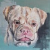 9" x 12"  Pet portrait 