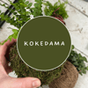 Kokedama - Crafting Living Decor