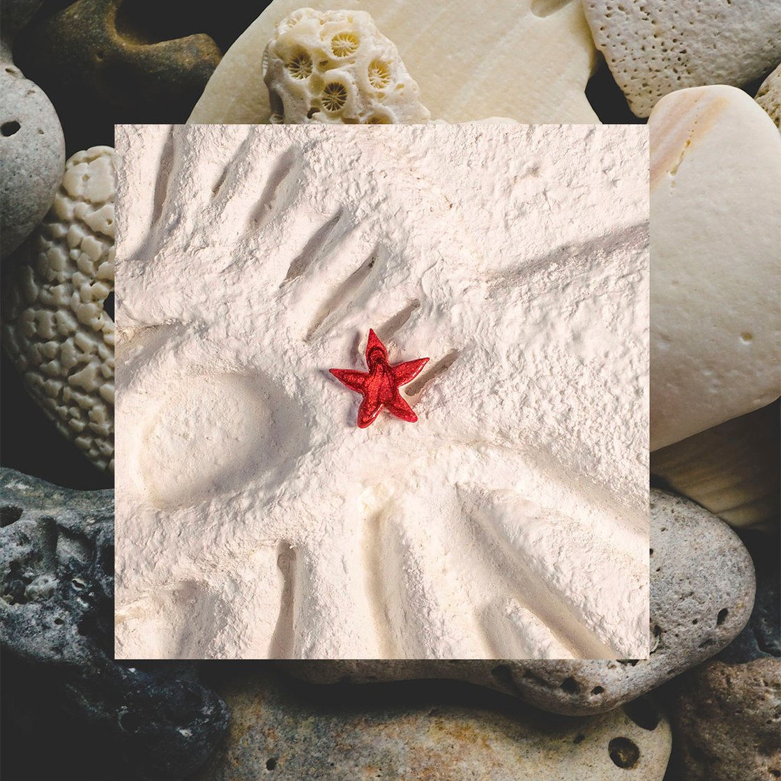 Image of Jávea ~ Estrella de mar roja