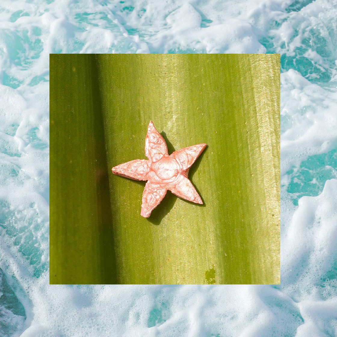 Image of Jávea ~ Estrella de mar rosa