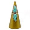 Winding River Turquoise Ring (Sizes 8.5-10)
