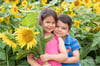 Sunflowers Mini Sessions - Tuesday 15th August 2023