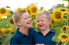 Sunflowers Mini Sessions - Tuesday 15th August 2023