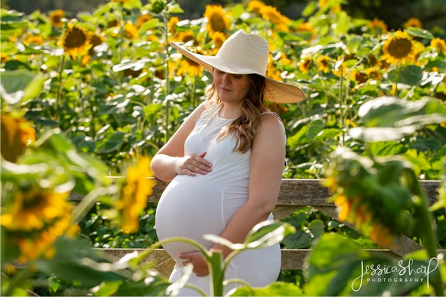 Sunflowers Mini Sessions - Tuesday 15th August 2023