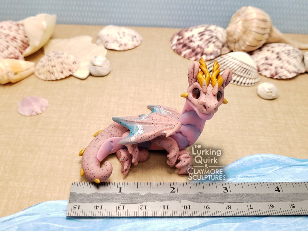 Pink Sands Beach Dragon