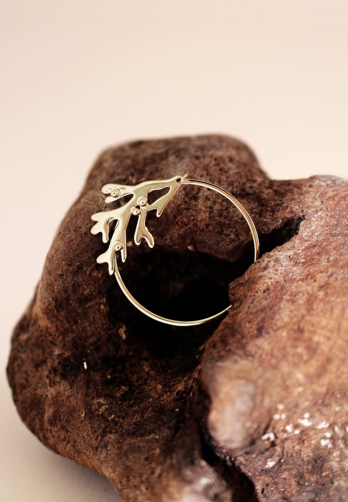 Image of CORAIL  // CORAL - BO CERCLE// CIRCLE EARRINGS