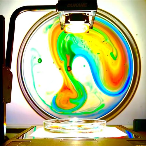 Image of Large Petri Dish Set + 4 Oil Dye Combo