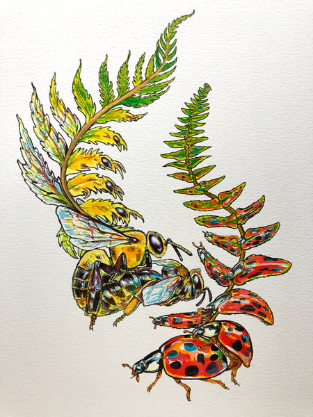 Image of Original - Ladybug & Bee Ferns