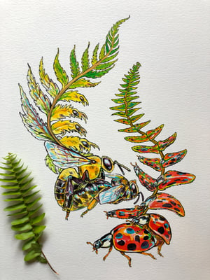 Image of Original - Ladybug & Bee Ferns