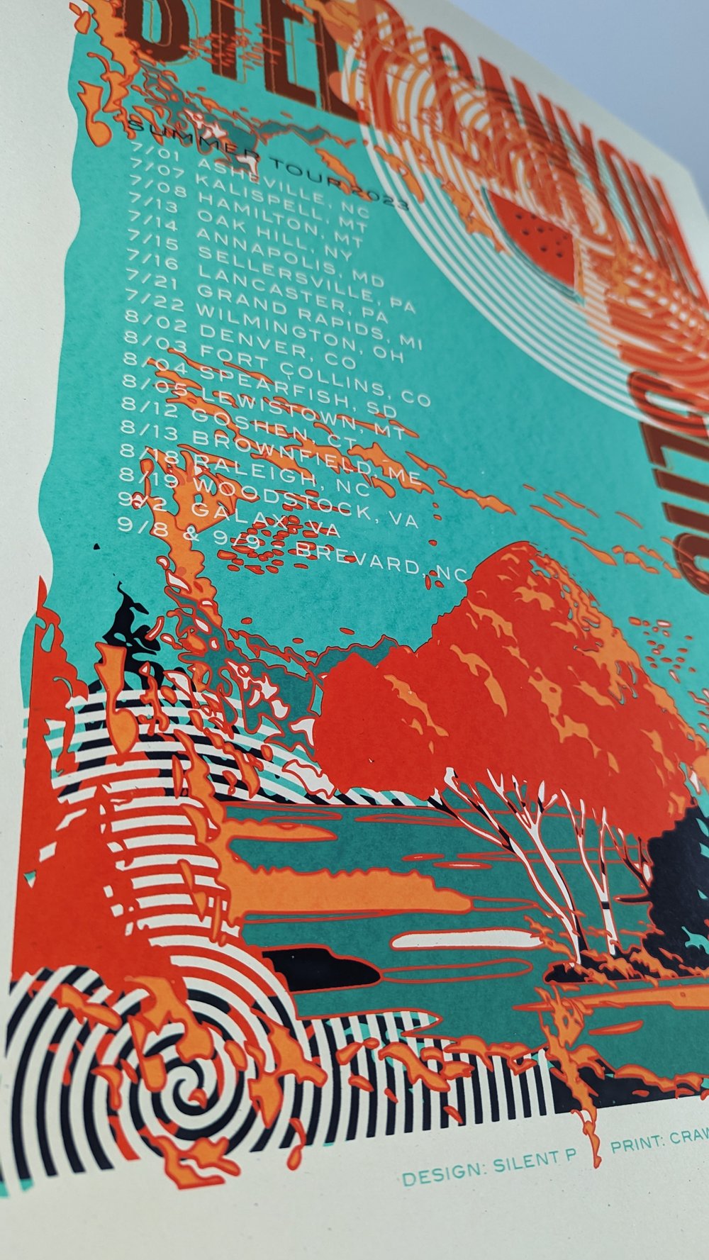 Steep Canyon Rangers, Summer Tour Poster, 2023