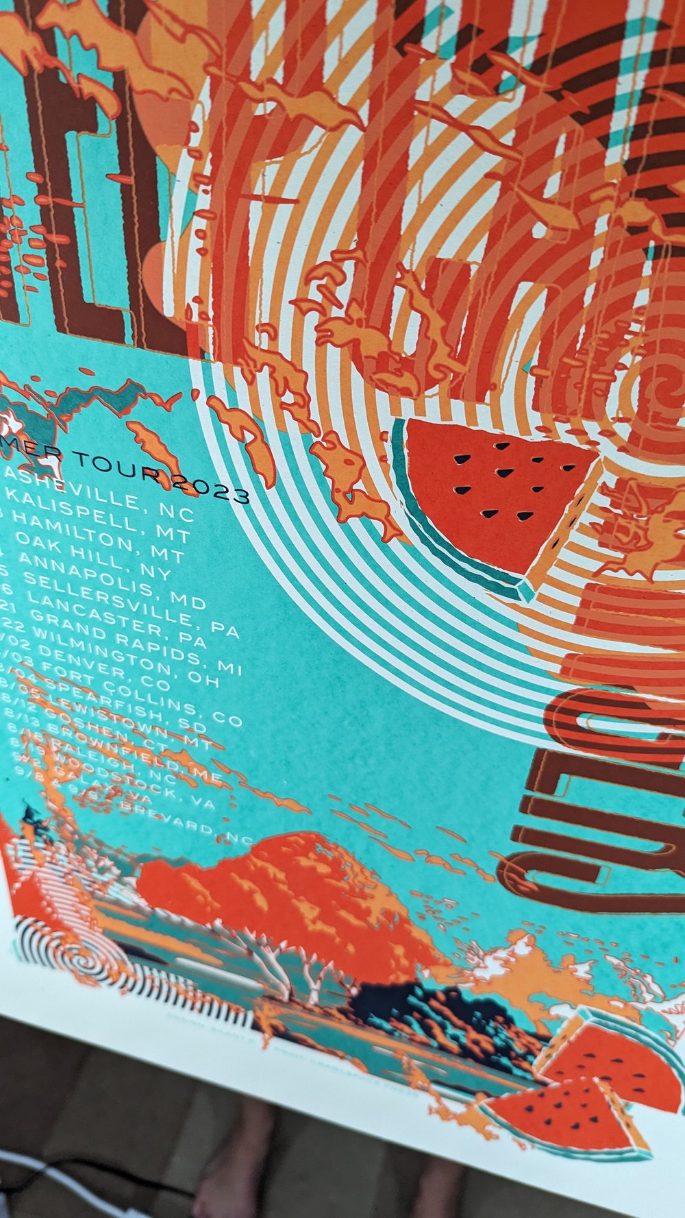 Steep Canyon Rangers, Summer Tour Poster, 2023