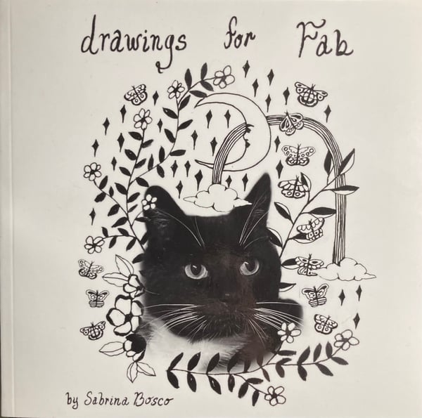 Image of “Drawings for Fab” Book